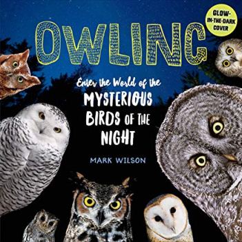 owling enter the world of the mysterious birds of the night